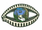 Guariquen en lenguaje arauaco significa mira o ven a ver.